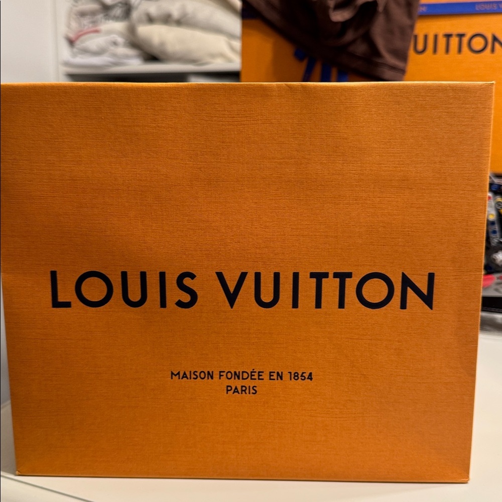 Louis Vuitton shopping bag